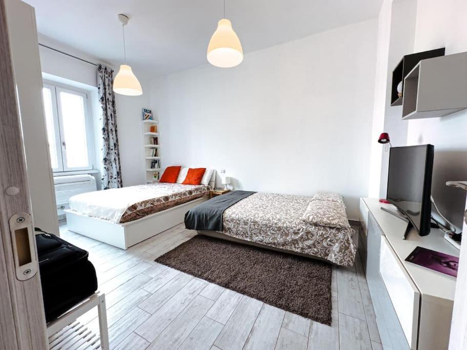 Cozy Alberone Flat Appartamento